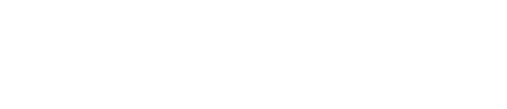 Logo Spin-off Nederland Webshop